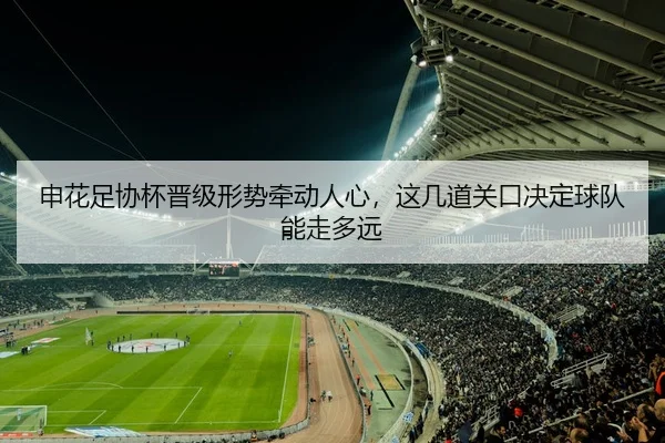 申花足协杯晋级形势牵动人心，这几道关口决定球队能走多远